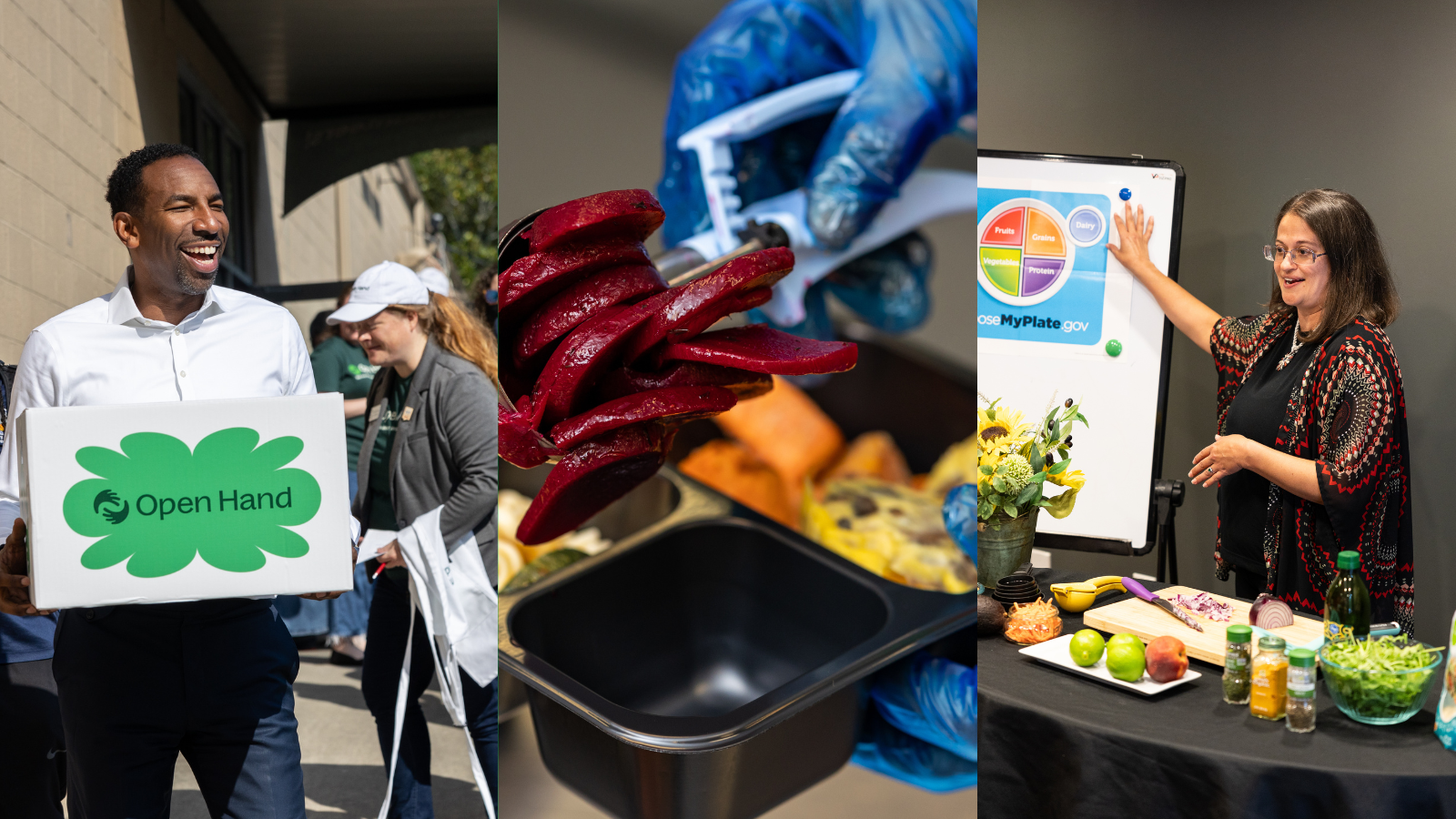 Giving Wednesday Examples Your Ultimate Giving Tuesday Guide